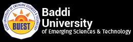 uni versity baddi